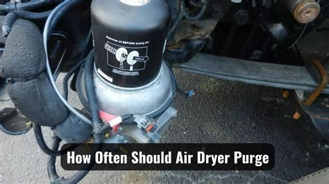 how often should air dryer purge|Air Dryer Maintenance is Imperative web version